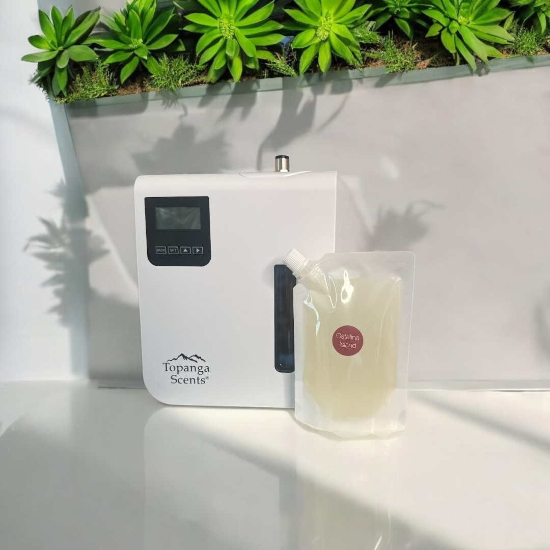 Top 5 Tips for Keeping Your Home Smelling Fresh All Year Long