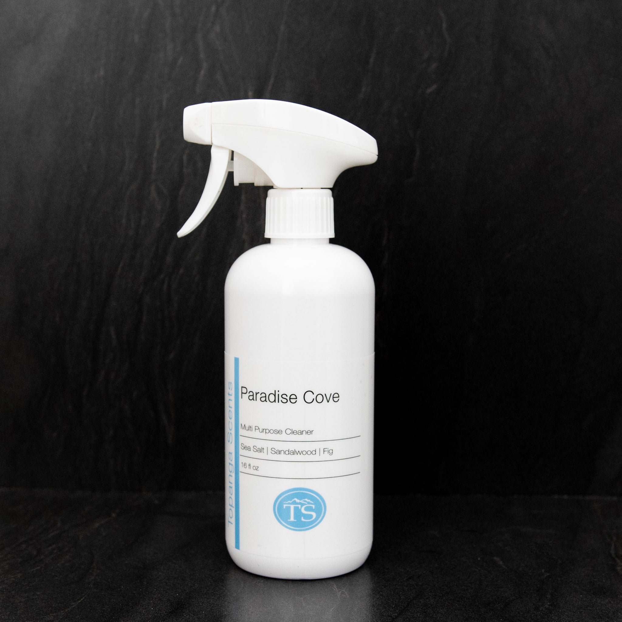 website37_1.jpg?v=1719849428&